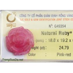 Hoa mẫu đơn đá quý ruby DRBH24.79