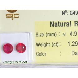 Bông tai trang sức đá ruby DRBB1.29