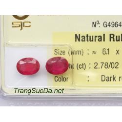 Bông tai trang sức đá ruby DRBB2.78