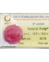 Hoa mẫu đơn đá quý ruby DRBH24.79