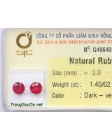 Bông tai trang sức đá ruby DRBB1.4