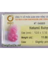 Tỳ hưu đá quý ruby DRBTH11.66