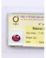 đá garnet ngọc hồng lựu DGARNET2.42