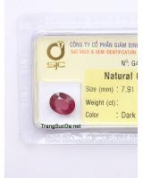 đá garnet ngọc hồng lựu GARNET3.05