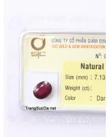 đá garnet ngọc hồng lựu DGARNET2.57