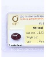 đá garnet ngọc hồng lựu DGARNET4.93