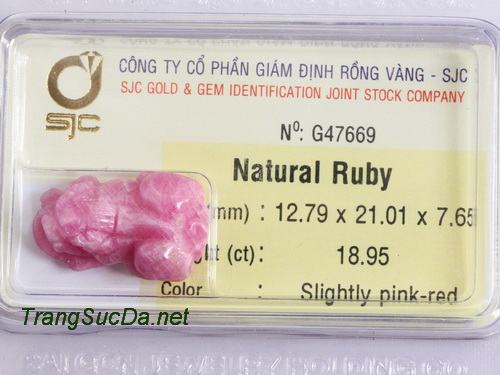 Ty huu da quy ruby